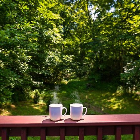 Smoky Mountains Hut Tub Cabin Dog Friendly Sevierville Dış mekan fotoğraf