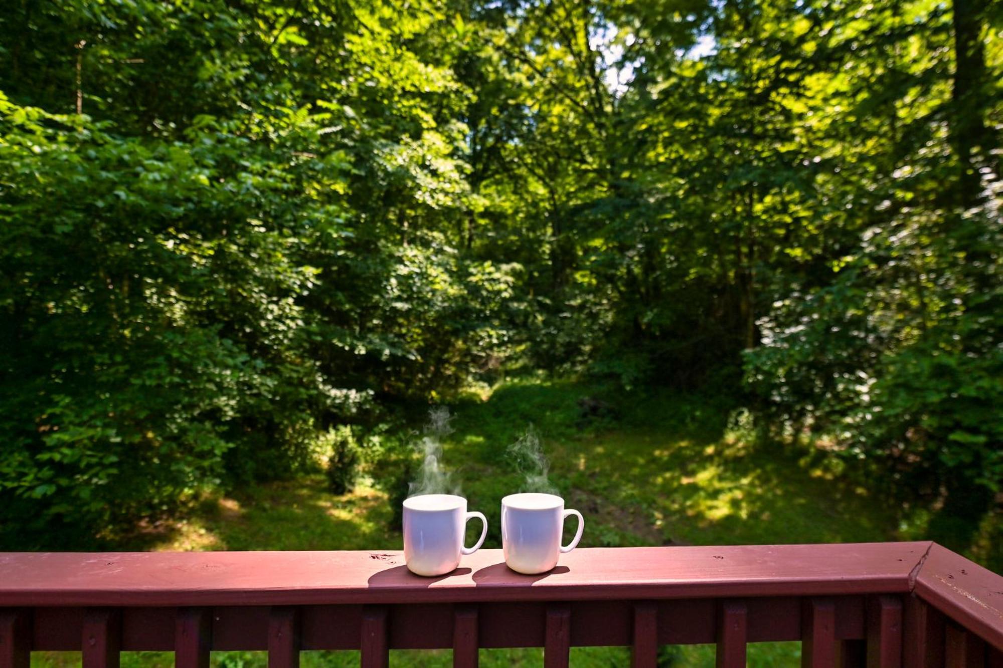 Smoky Mountains Hut Tub Cabin Dog Friendly Sevierville Dış mekan fotoğraf